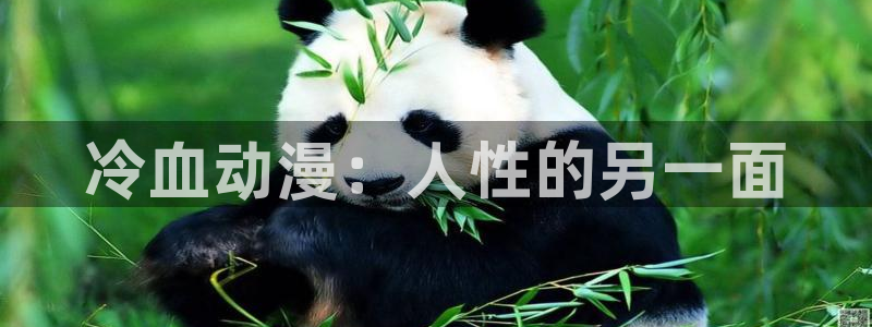 禁漫天堂18c.mic免费