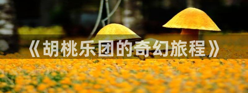 免费a漫禁漫天堂在线观看